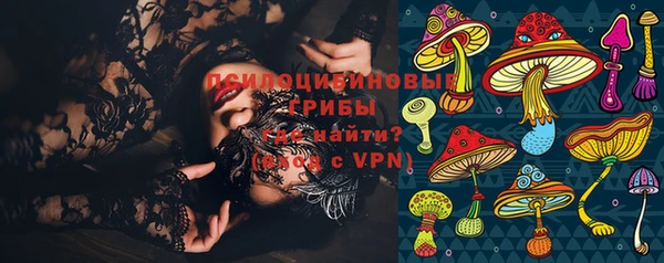 ПСИЛОЦИБИНОВЫЕ ГРИБЫ Алексеевка