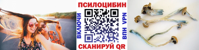 цены   Кемерово  Псилоцибиновые грибы Magic Shrooms 