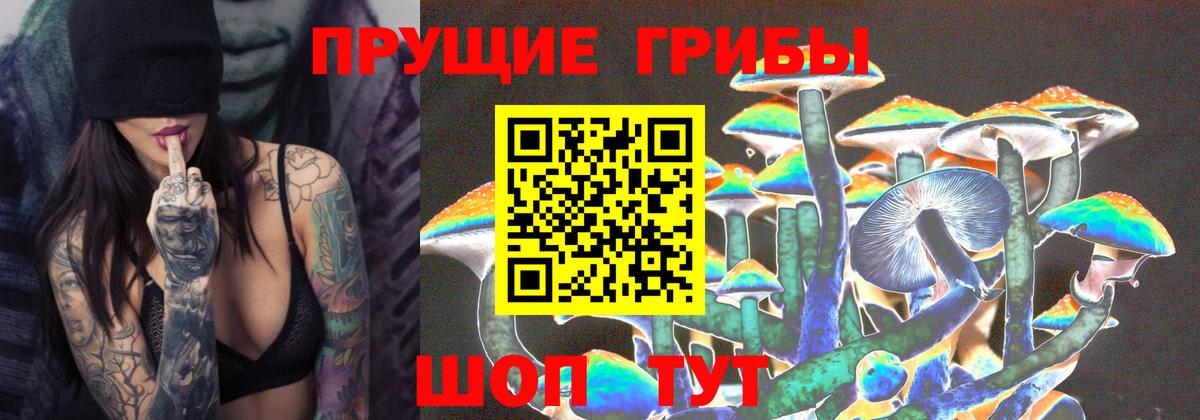 Псилоцибиновые грибы GOLDEN TEACHER Кемерово
